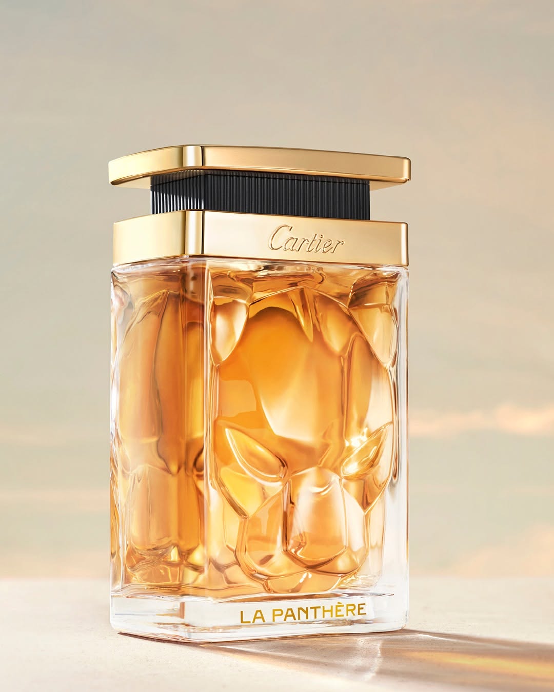 Vendôme Paseo La Galería: professional product photography