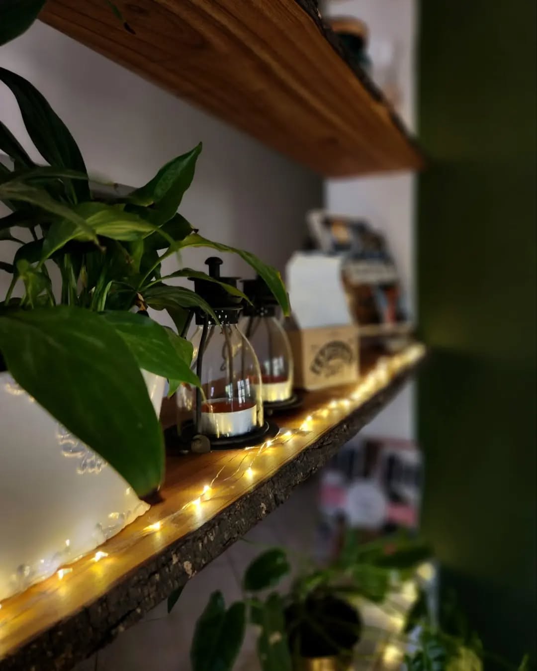 Adina's Café: attractive, high-quality interior atmosphere shot