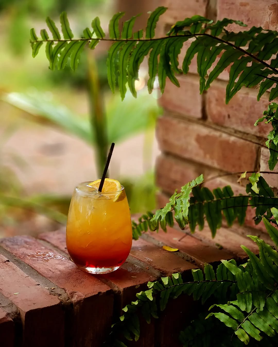 Adina's Café: high quality, professional drink photo