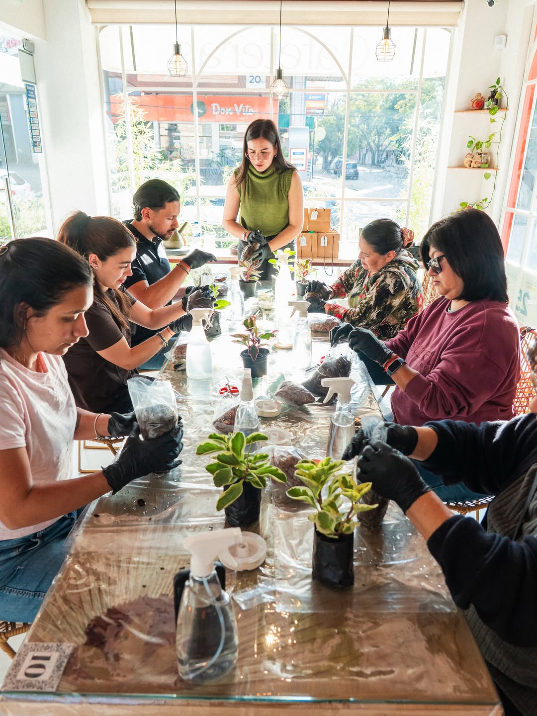 Cafeteras Coffee: engaging workshop photo showing atmosphere