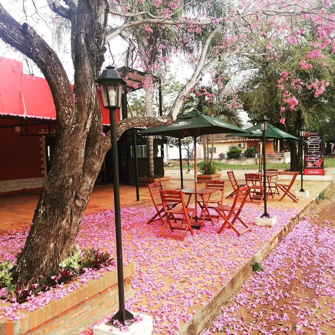 San Remo Resto Bar: beautiful, inviting outdoor seating area