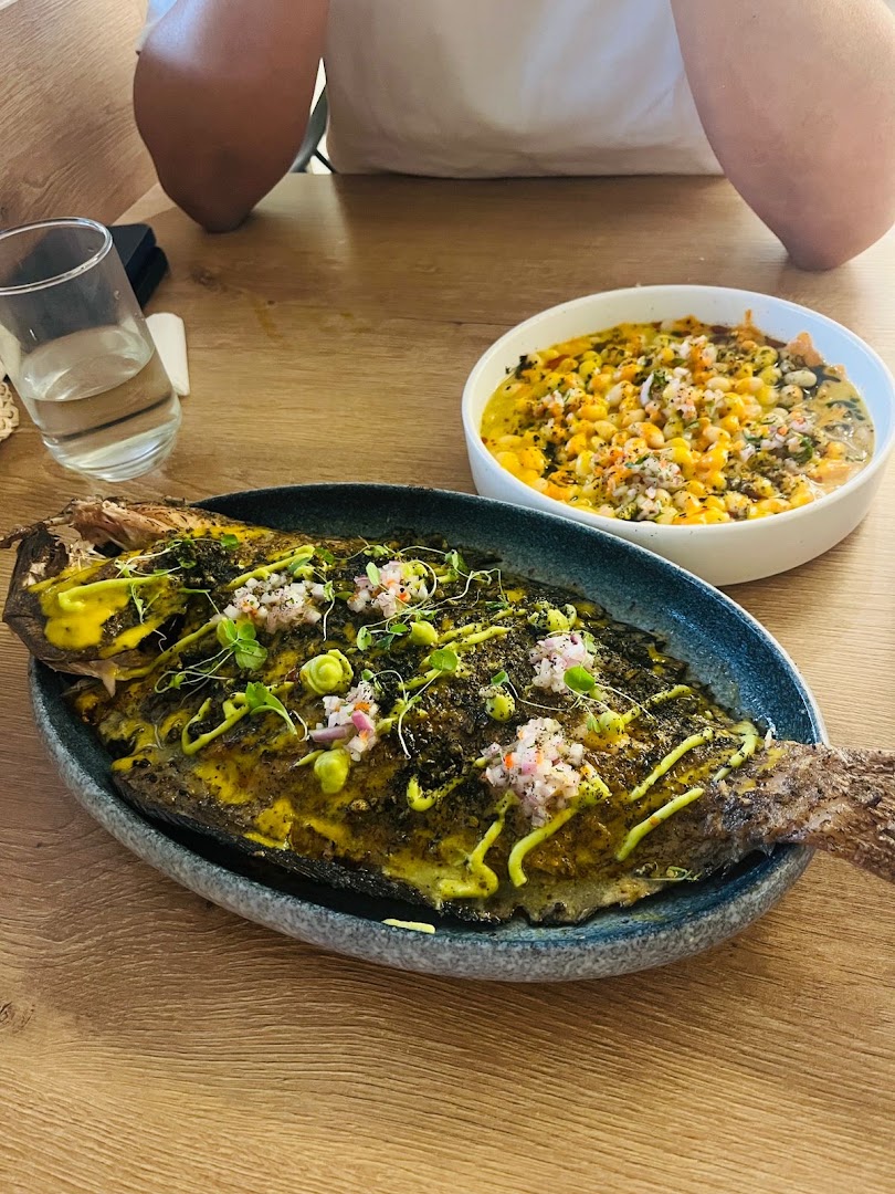 Norte: appetizing, high-quality food photography