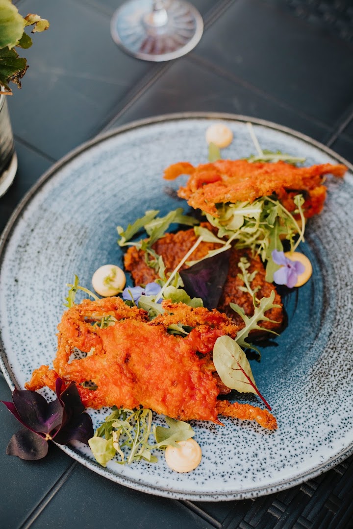 Canis: high quality, appetizing food photography