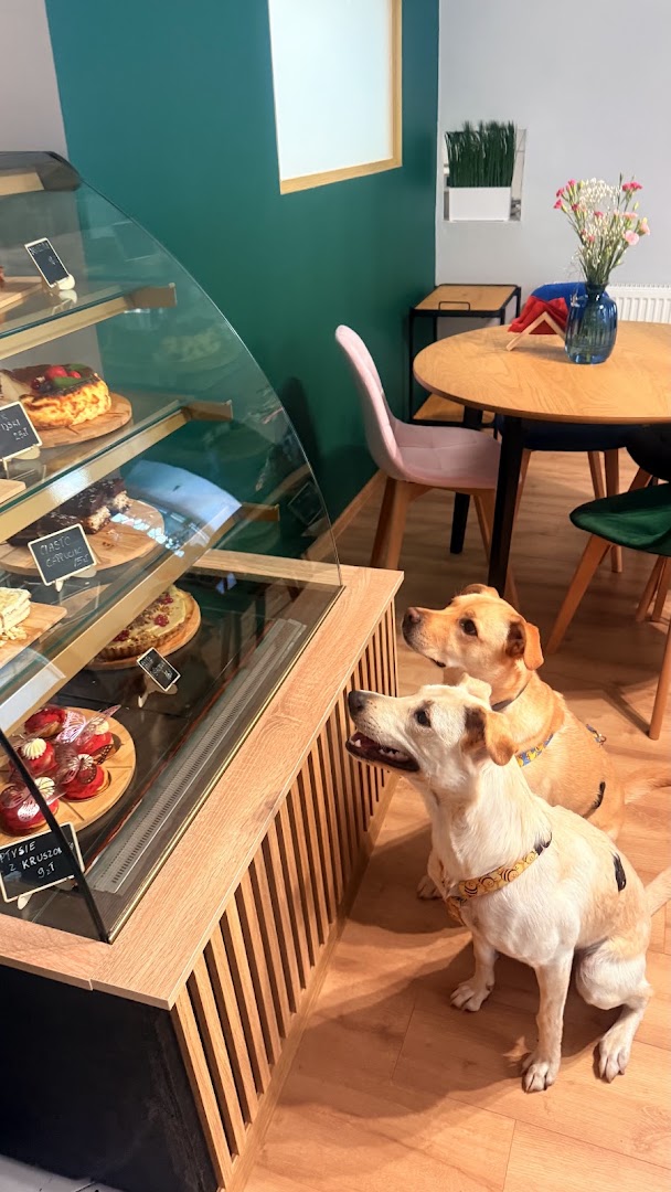 Merdająca Filiżanka: inviting atmosphere with cute dogs