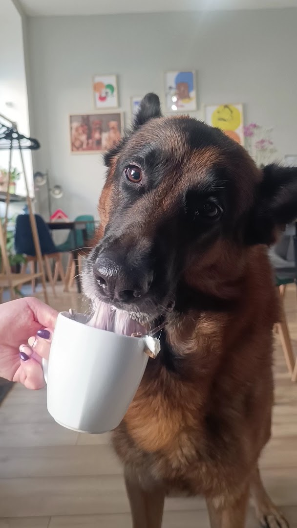 Merdająca Filiżanka: charming atmosphere with pet friendly vibe