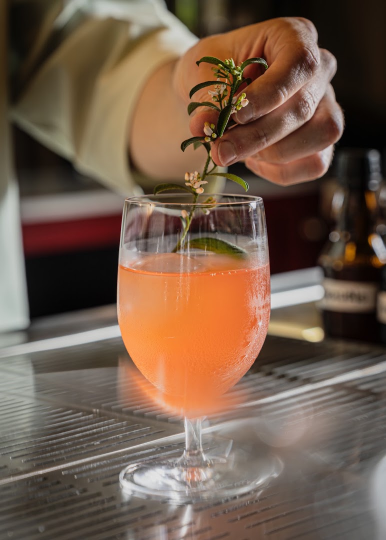 Apotecário: professional, high-quality cocktail preparation photo