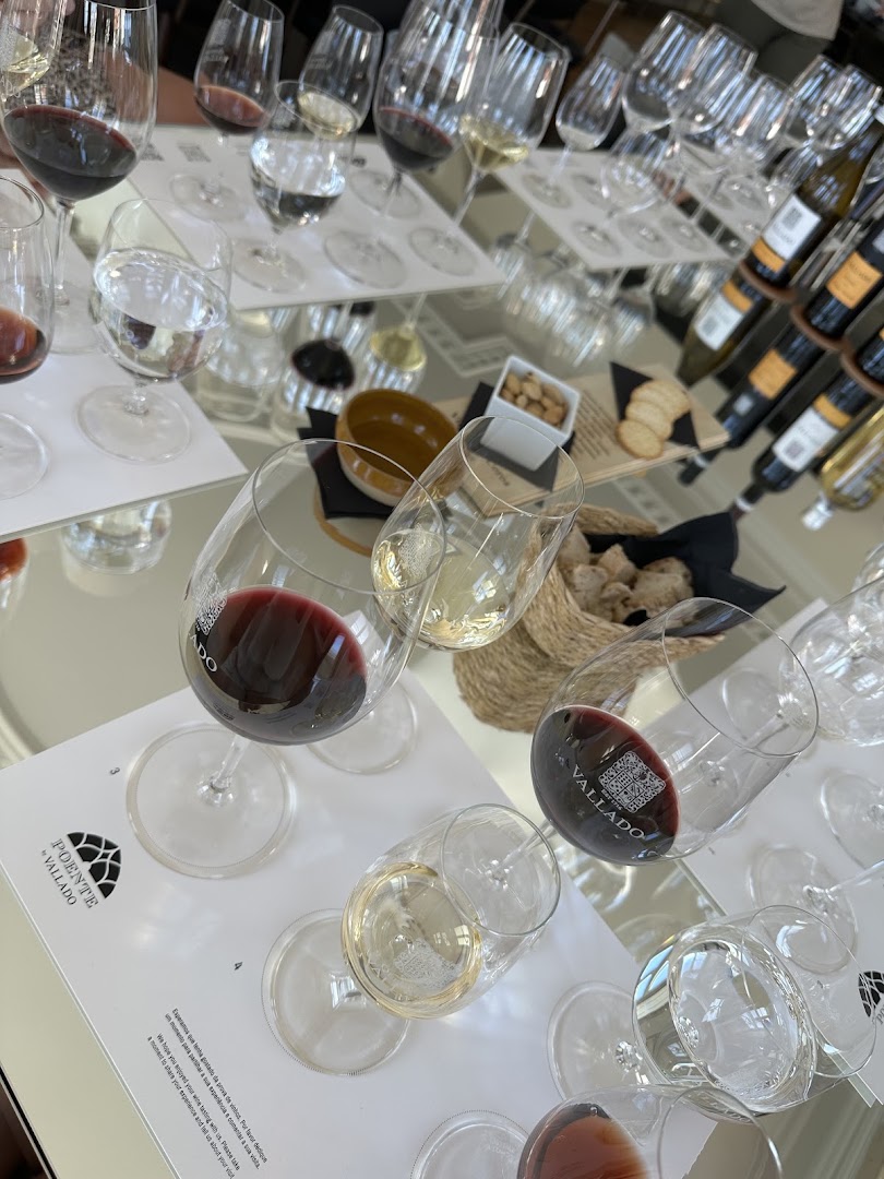 Poente by Vallado: professional wine tasting experience photo
