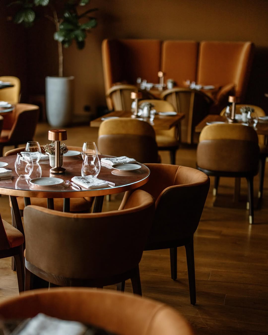 Renata Restaurant & Terrace: professional interior atmosphere shot