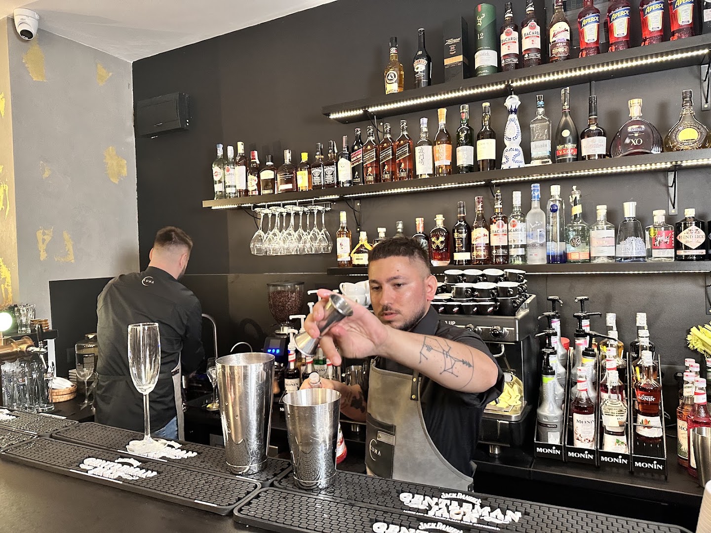 LUNA: professional shot of bar staff