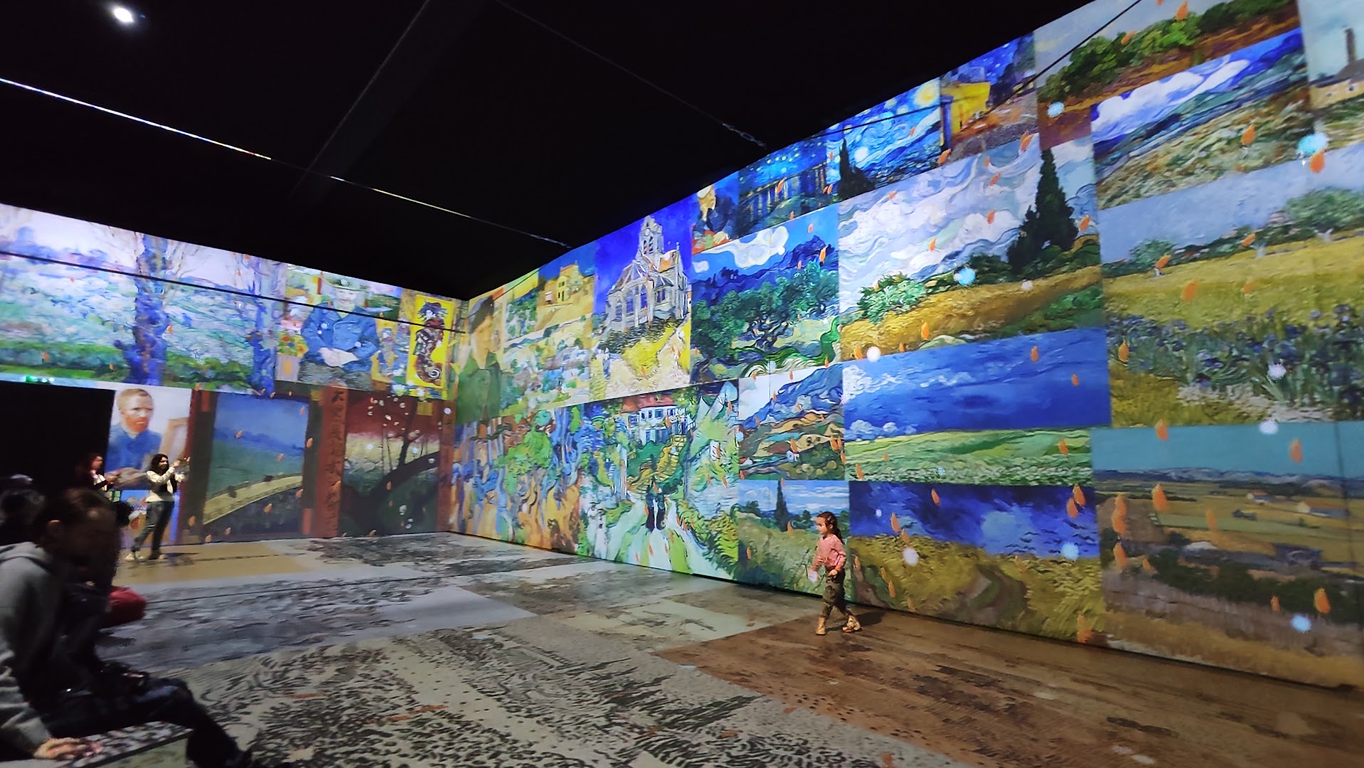 MINA Timișoara: immersive exhibition atmosphere clearly