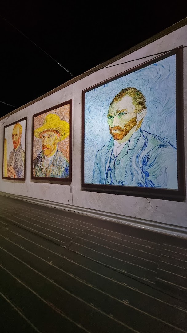 MINA Timișoara: clear photo of art exhibition