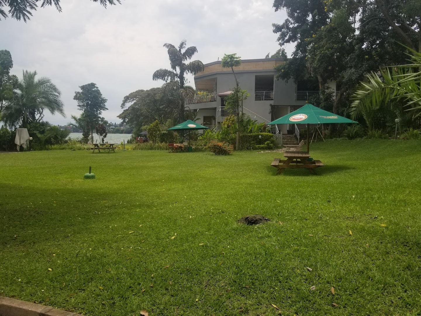 Roxy Bar and Restaurant: pleasant outdoor dining area