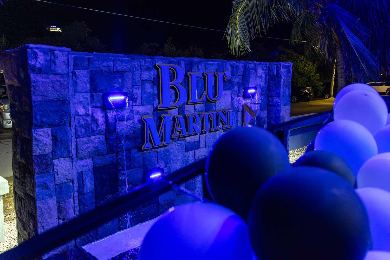 Blu Martini Lounge & Pub: attractive exterior signage and atmosphere