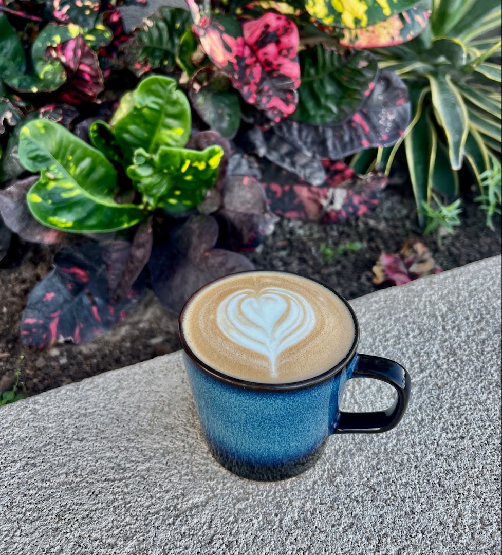 Coffee Shop Frigate Bay: appealing coffee and aesthetic background