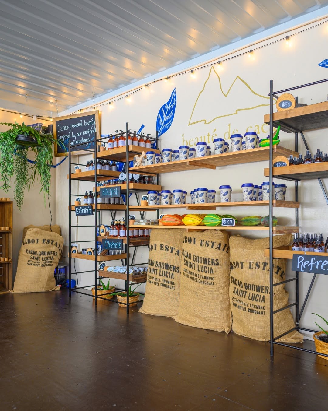Project Chocolat: clear display of venue products
