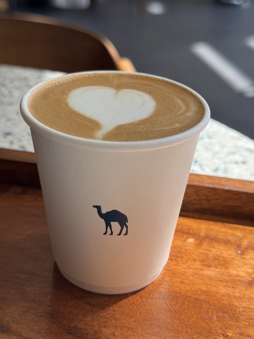 Blue Camel Coffee: high quality coffee product photo