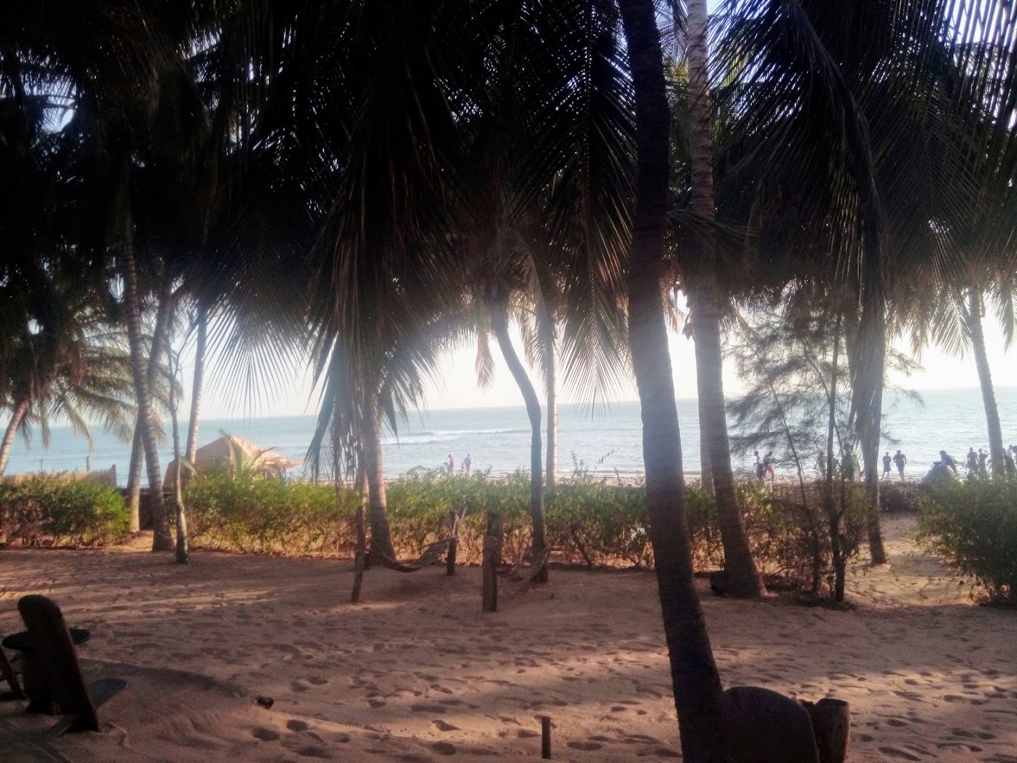 Tama Lodge: beautiful atmosphere and scenic view