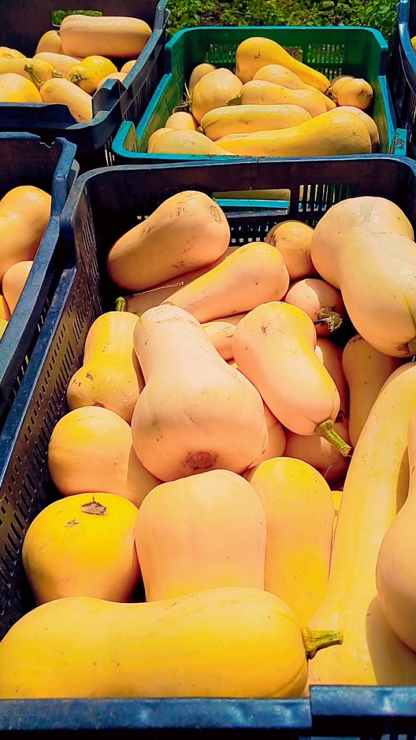 Lekku Fii: clear display of fresh produce