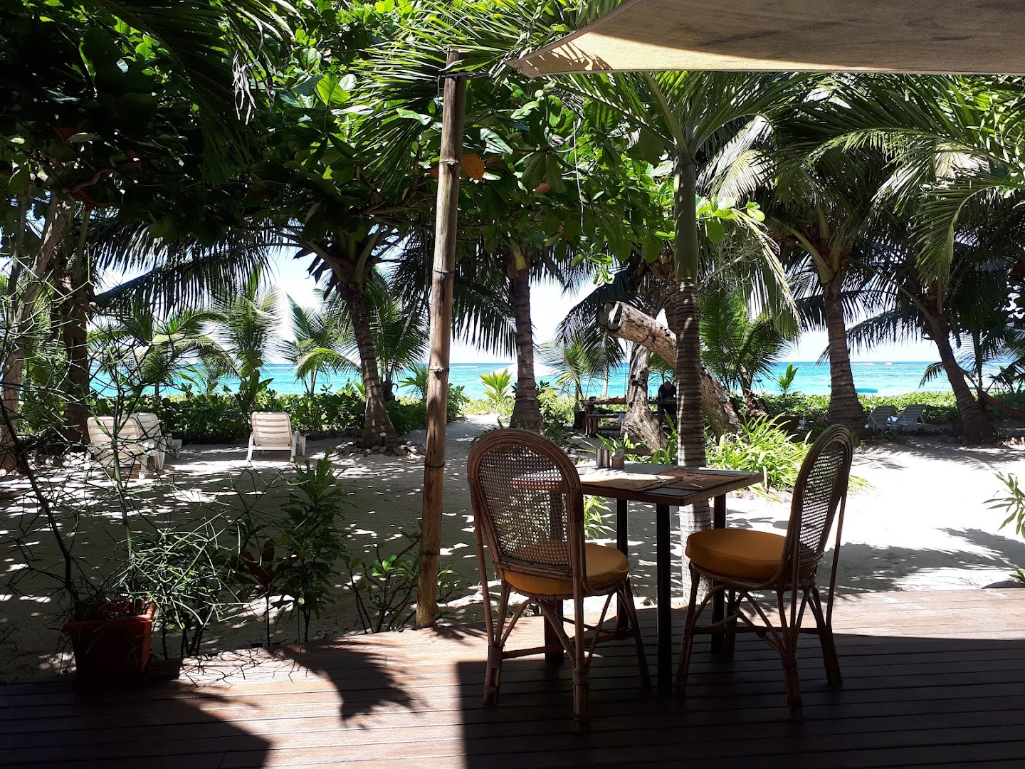 Les Dauphins Heureux Cafe Restaurant: inviting terrace with scenic view