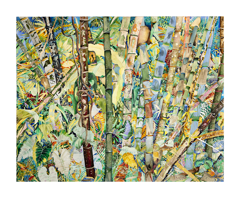 Island Gallery Seychelles: high quality artwork display