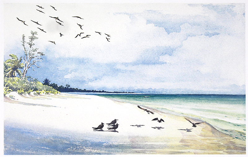 Island Gallery Seychelles: artwork displayed in the gallery