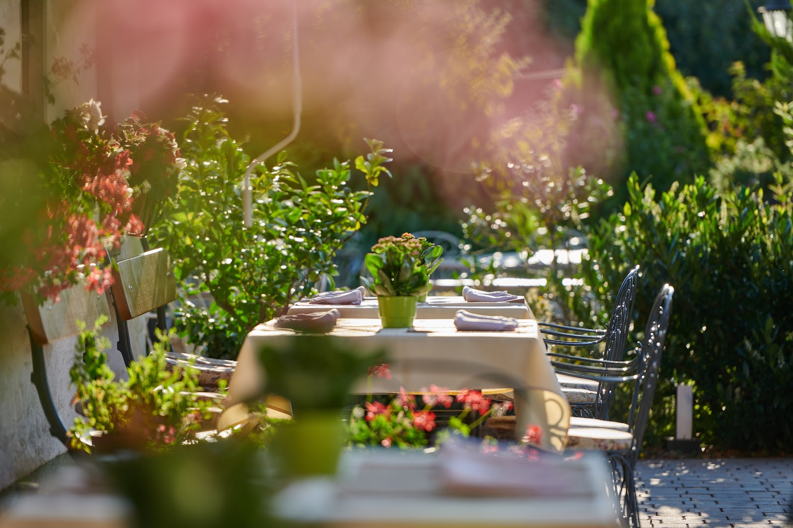 Finefood Penzion Berc: beautiful, professional atmosphere shot