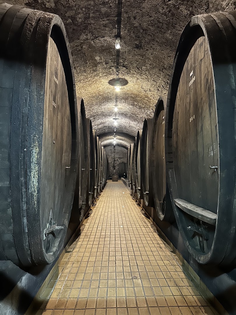 Vinag 1847: atmospheric photo of wine cellar