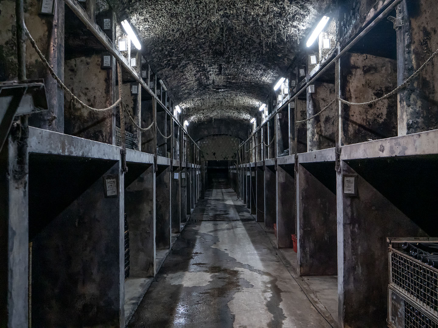 Vinag 1847: atmospheric wine cellar interior