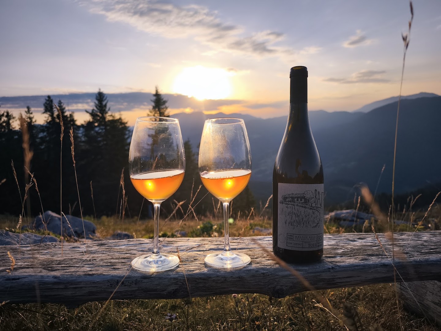 Vinoteka Kobal: beautiful, professional, atmospheric wine photo