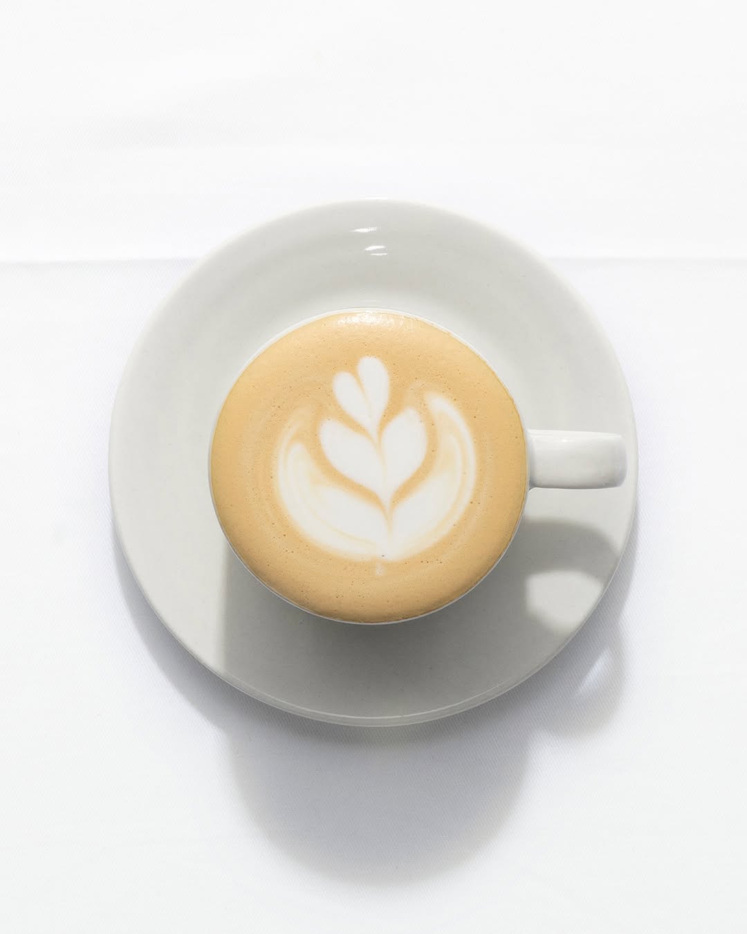 Cafe Sofi: high quality latte art photo