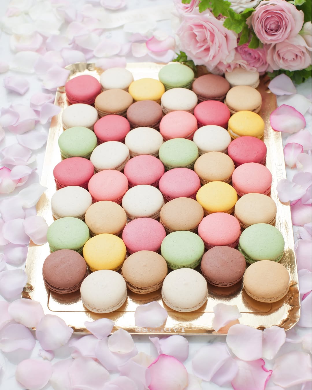 Ladurée: high quality professional food photography