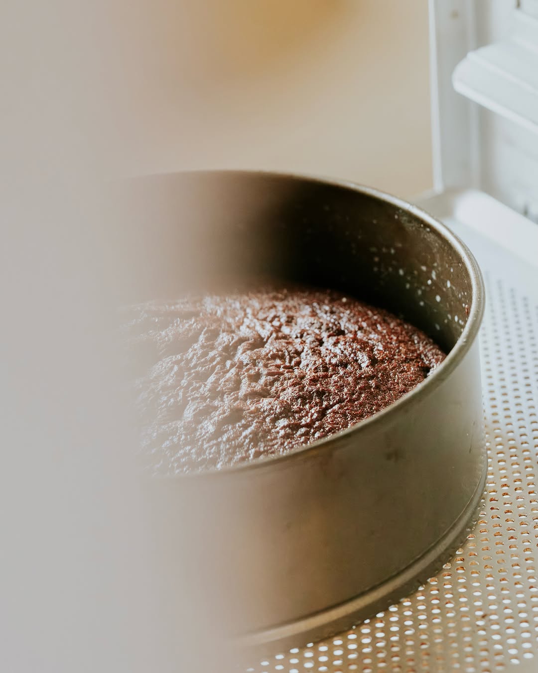 Lion's Bread: high quality photo of food