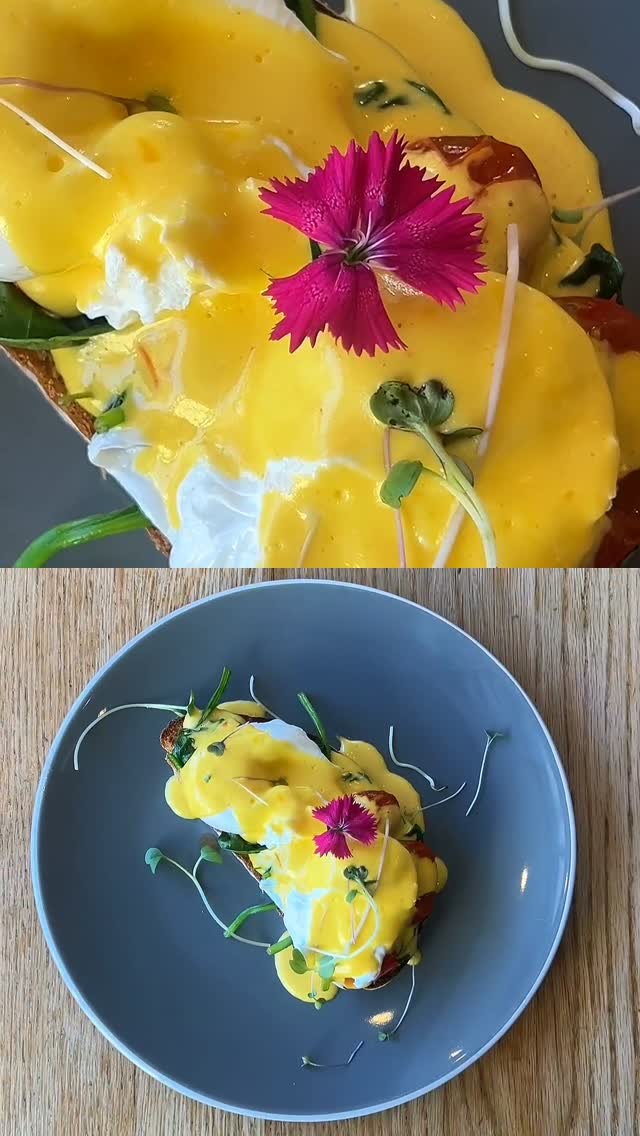 mischu: appetizing, high-quality food photography