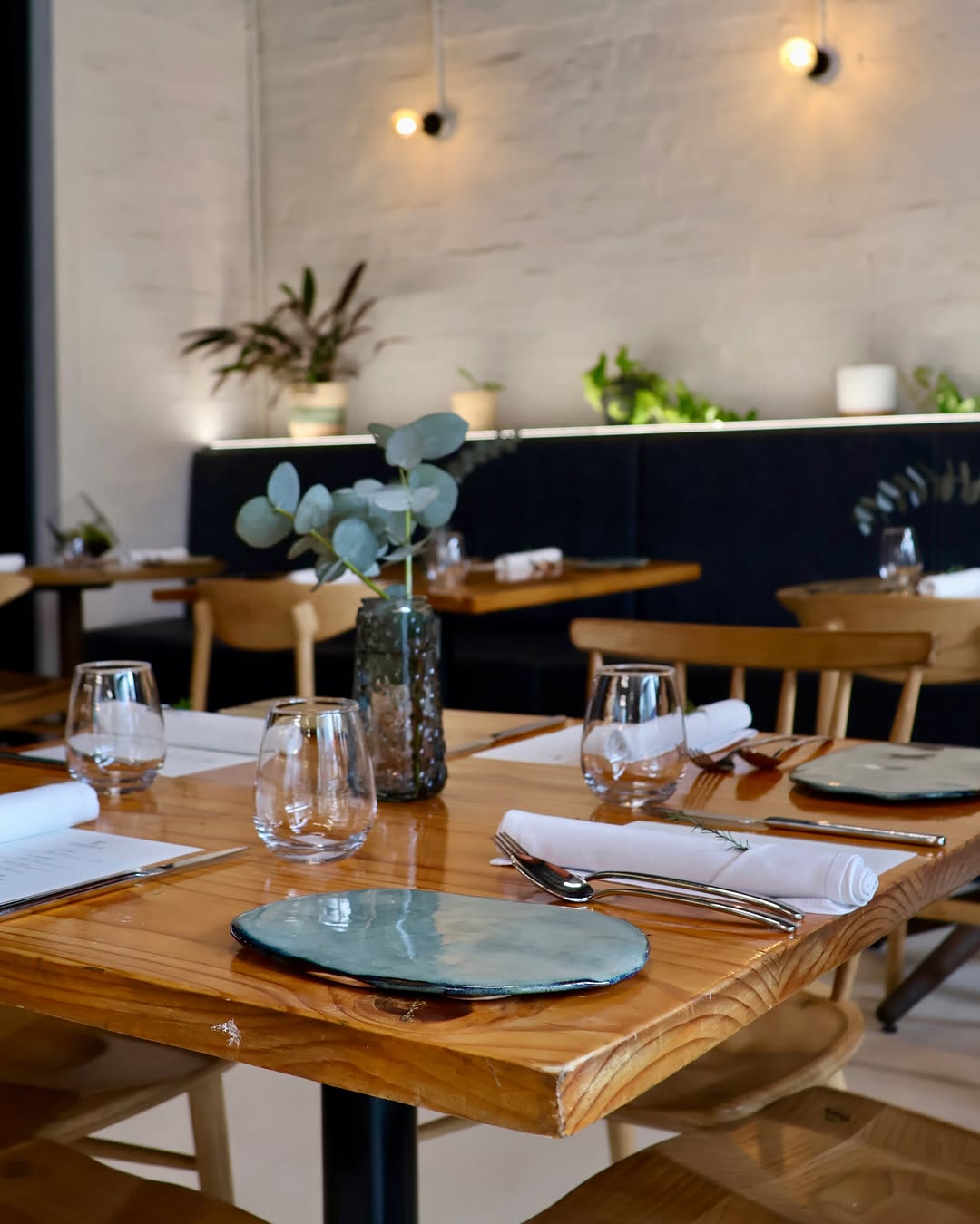 Terrarium: inviting and professional restaurant interior