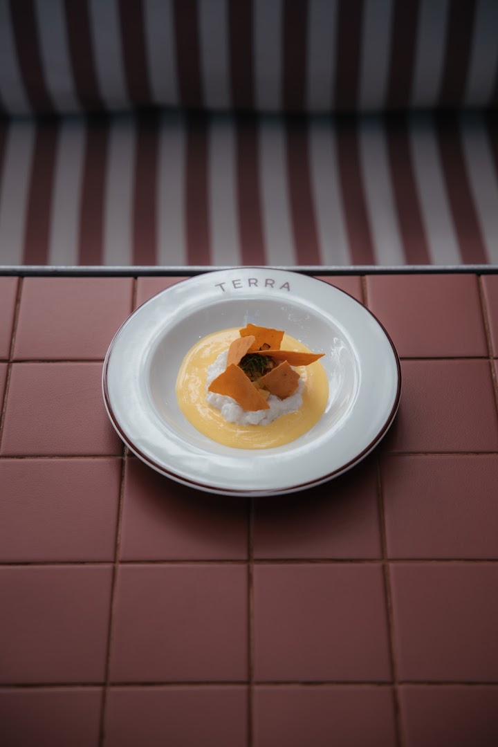 TERRA: professional and appealing food photography