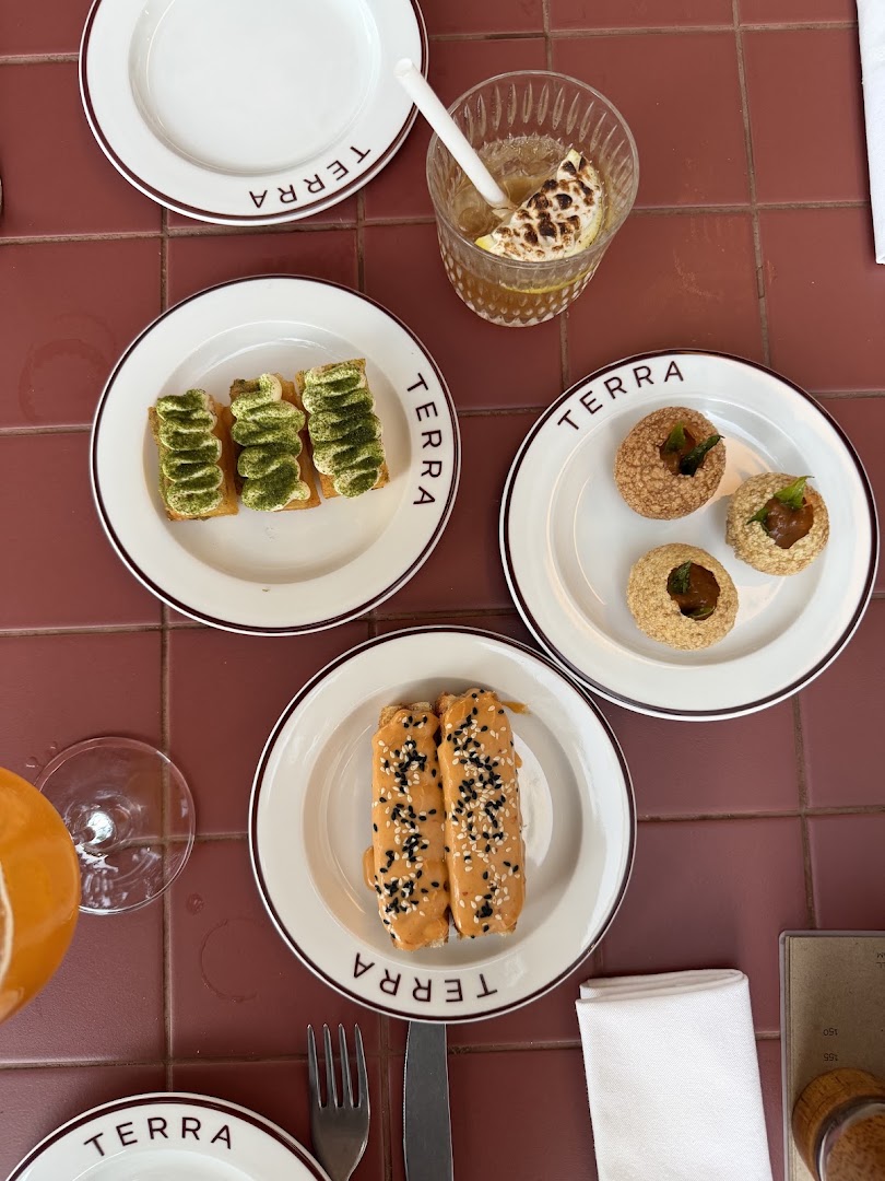 TERRA: appetizing, high-quality food photography