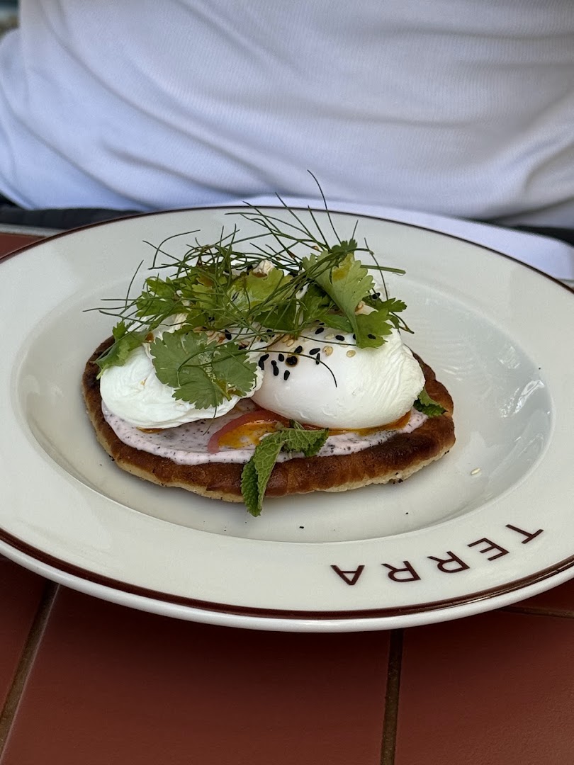 TERRA: appetizing, high-quality food photography