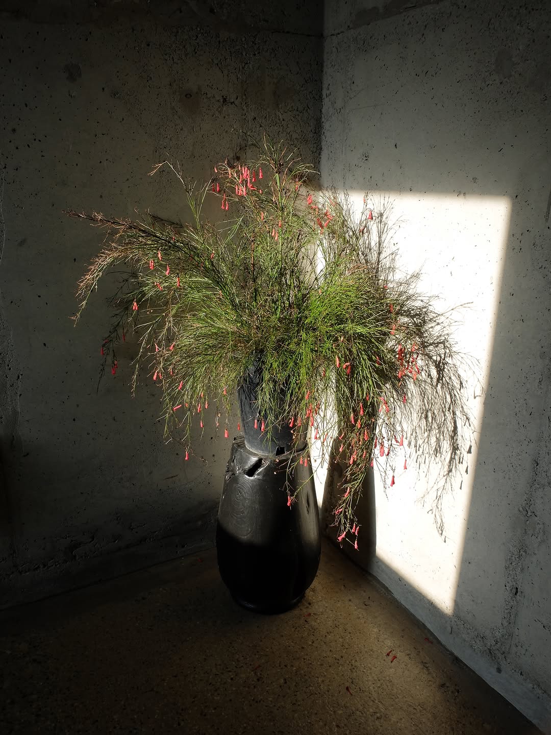 Mosska: artistic and high-quality shop decor