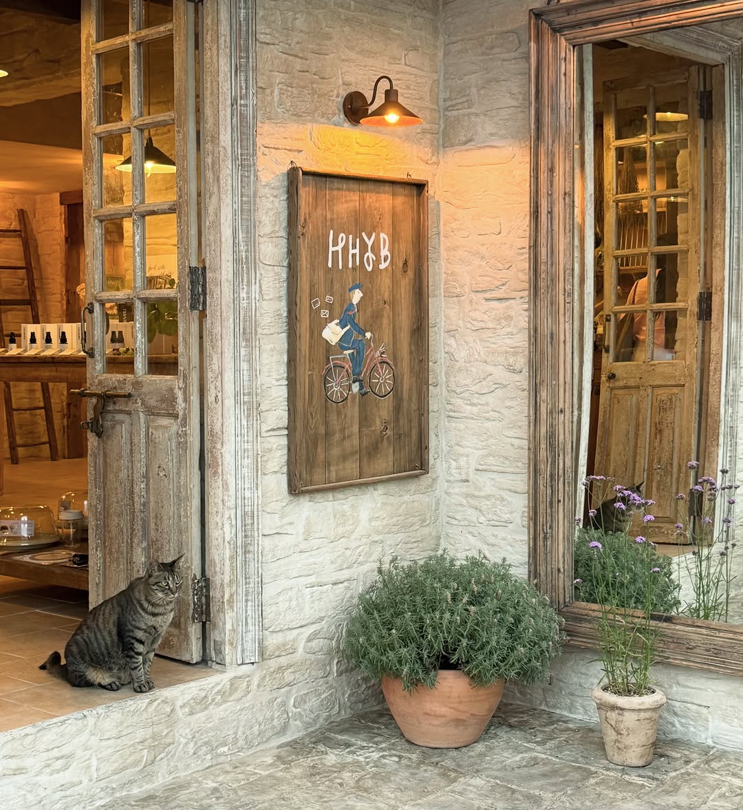 How Have You Been: charming storefront with inviting atmosphere