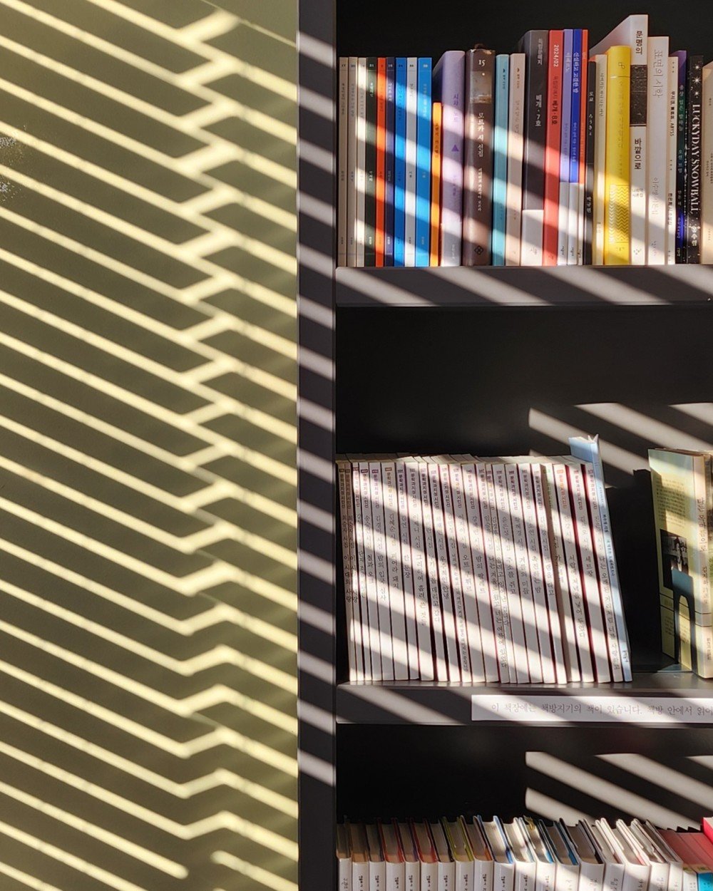 Jorimji: aesthetically pleasing shop interior photo