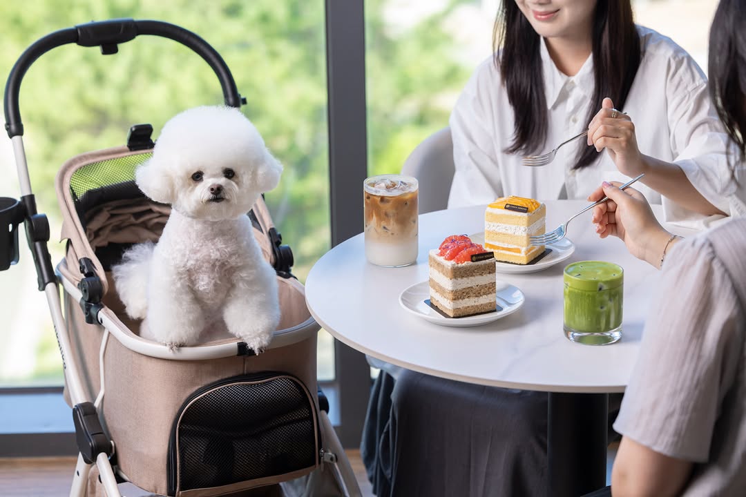 Cielo: high quality, inviting atmosphere photo