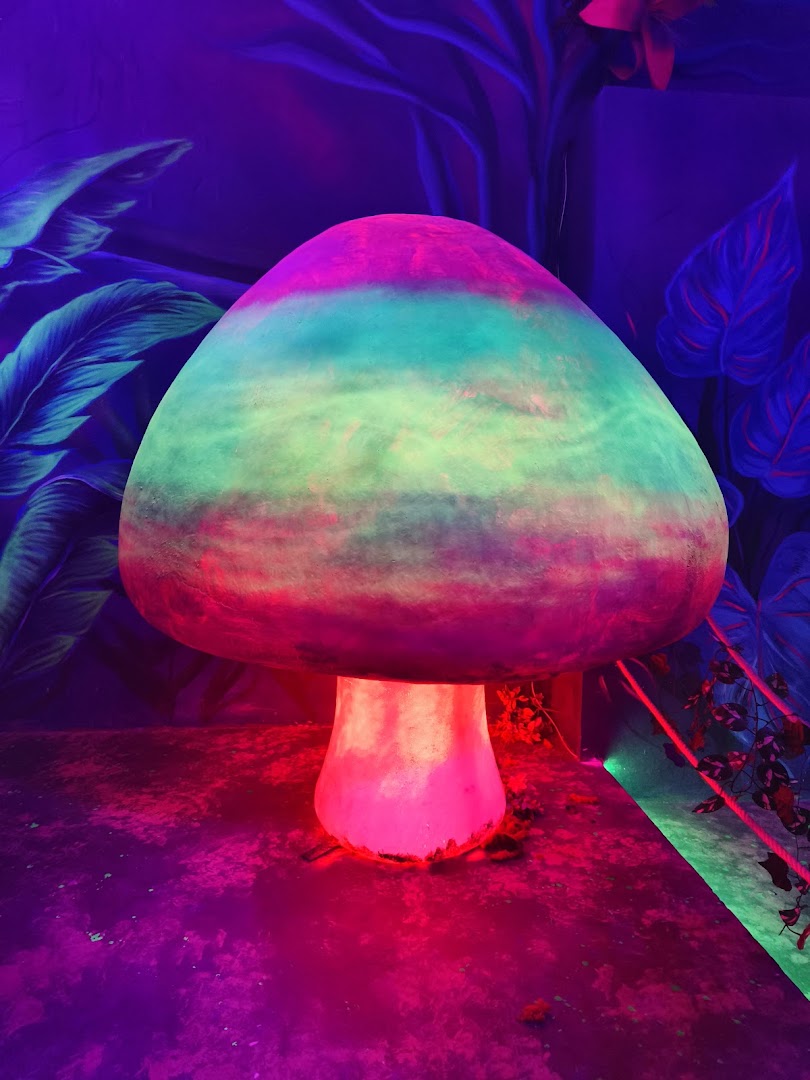 Aura Museum: vibrant and clear exhibition photo