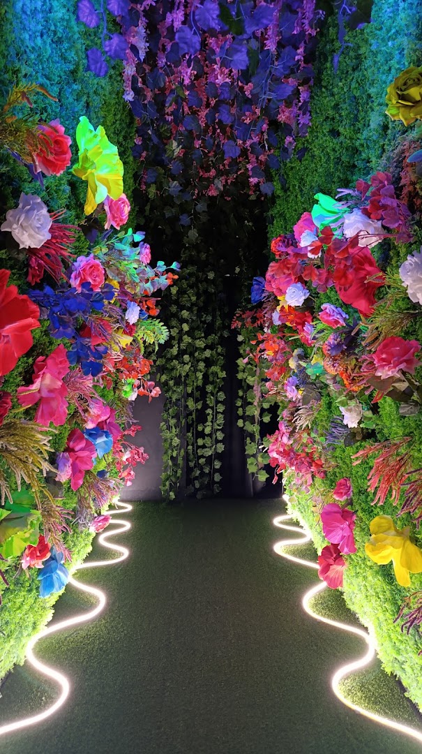 Aura Museum: attractive, high-quality exhibition display photo