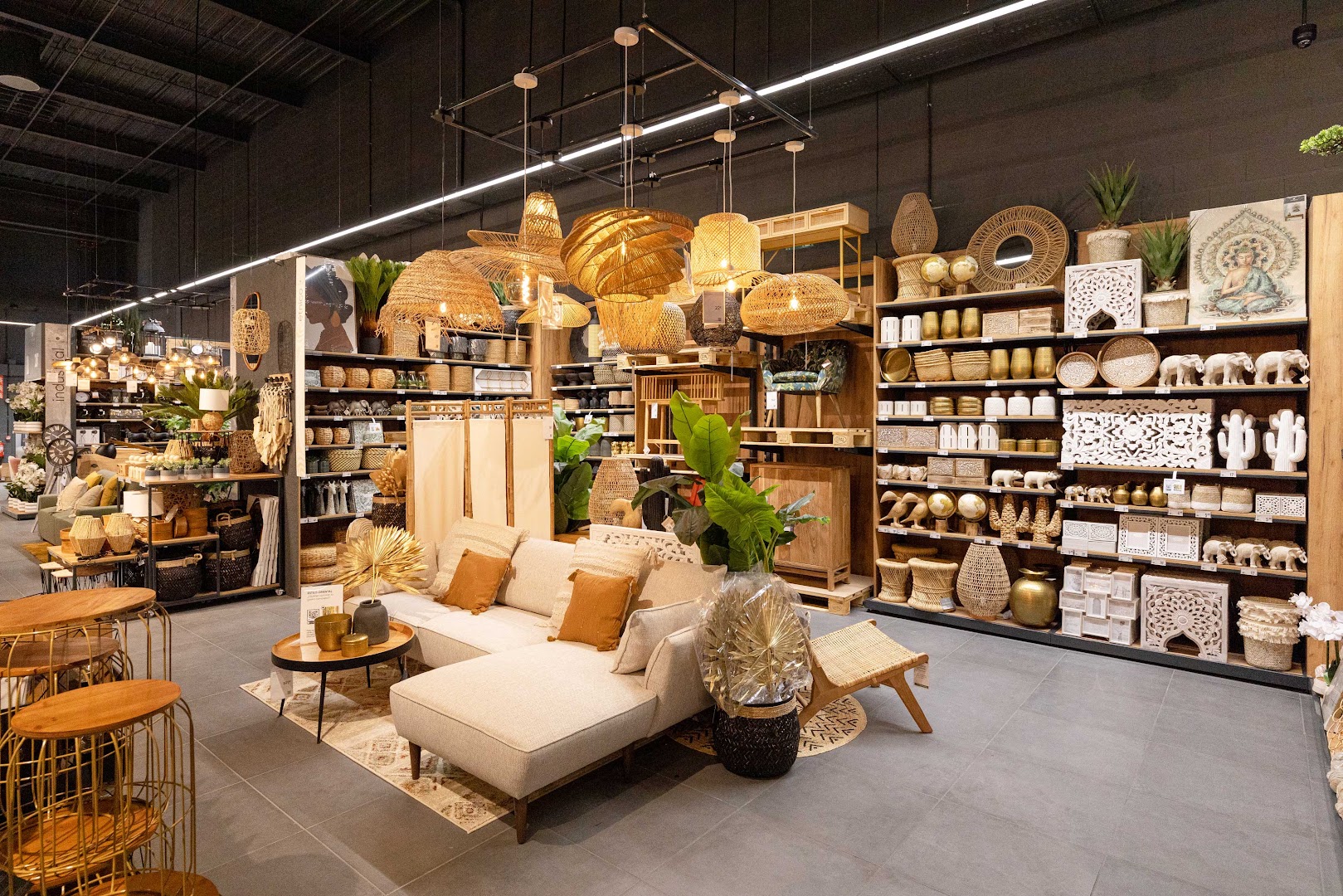 hôma: clear, professional shop interior display