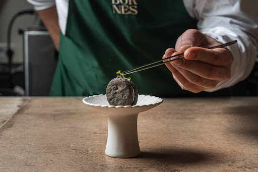 Bornès: professional food preparation shot