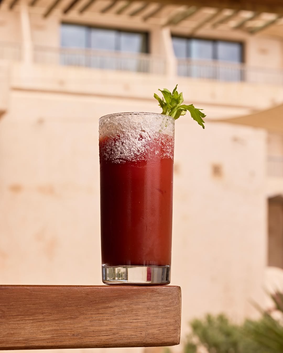 Hannah Formentera: high quality professional drink photo