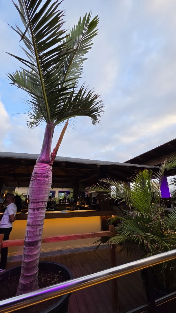Súgar: inviting atmosphere of the bar