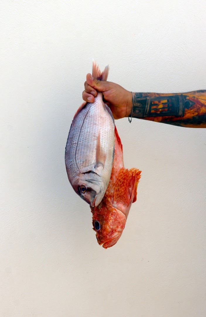 MARiLUZ: high quality fresh food photography