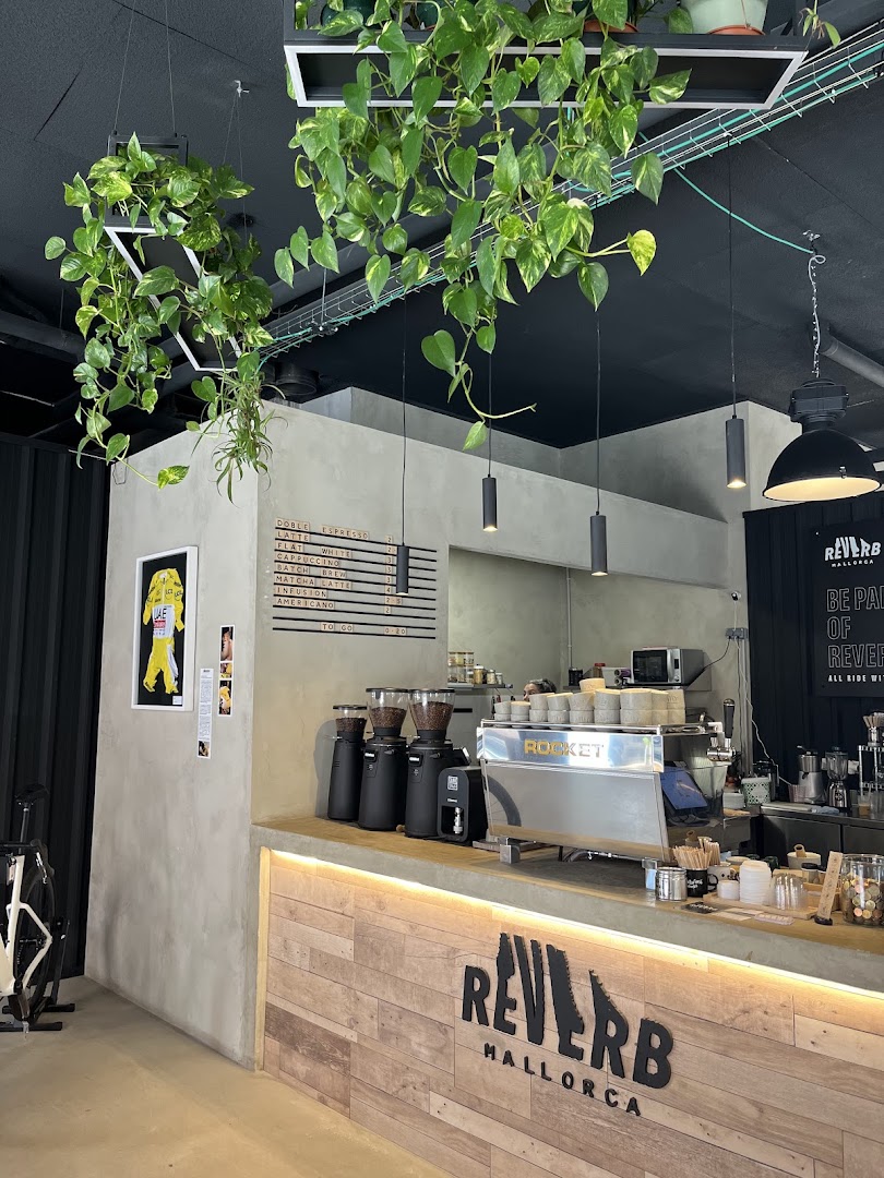 Reverb: attractive, professional interior shot