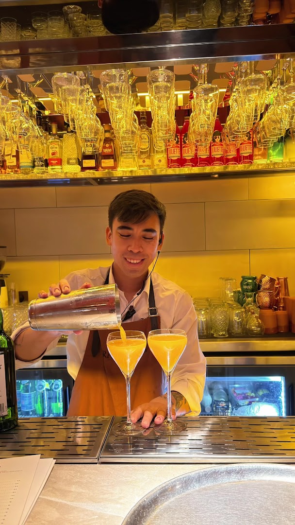 Terra: professional photo of bartender working